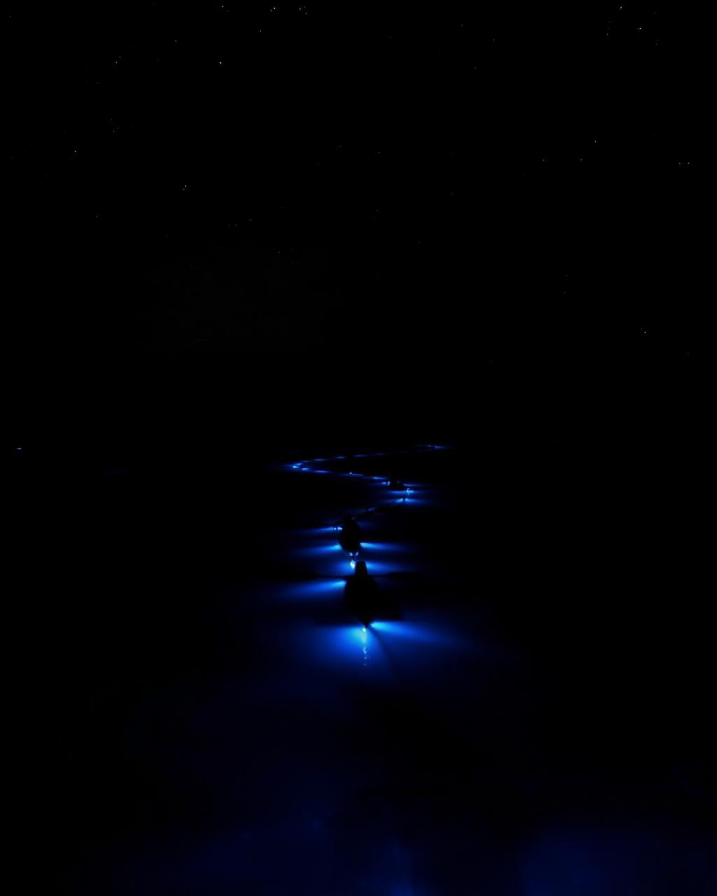 Bioluminescent Bay